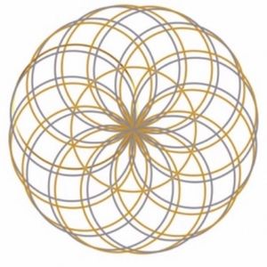 Meet your Posher, Jaylan